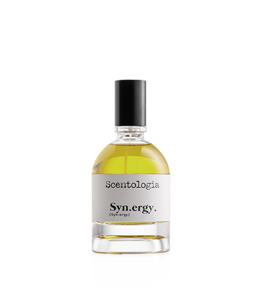 Synergy EDP 100ML
