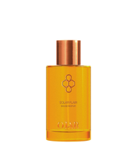 SOLAR FLAIR 100ML