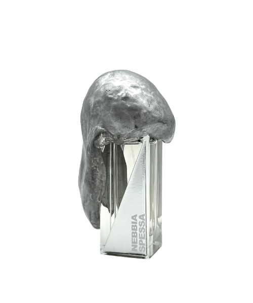 NEBBIA SPESSA Extrait de Parfum 50 ml