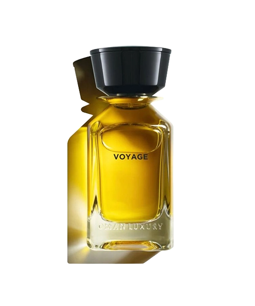 VOYAGE 100ML