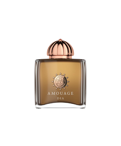 Dia Ladies EDP 100ML